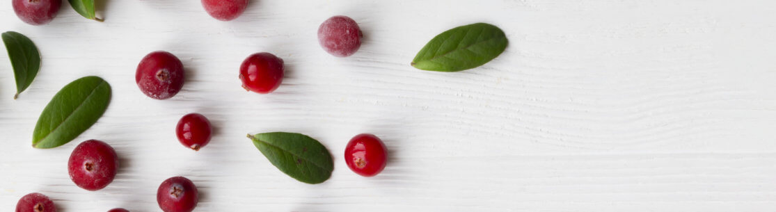 Cranberries with twigs and leaves on a white background with space for text.