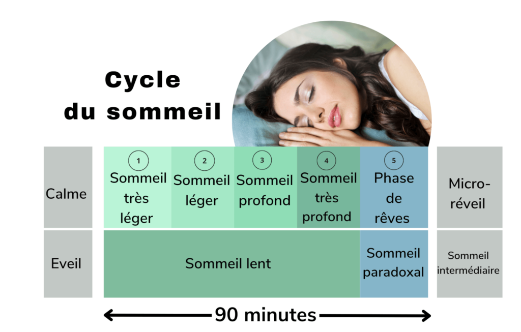 Sommeil adulte - Comment fonctionne le sommeil de l'adulte