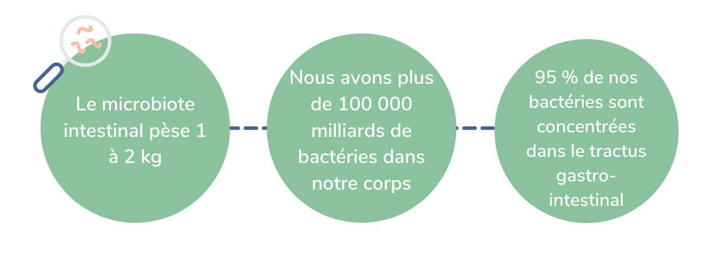 Comment bien choisir ses probiotiques ?  Codifra